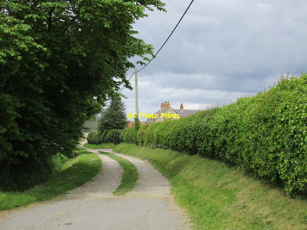 Photo 6"x4" Track to Walnut Tree Farm, Thorpe Bassett Thorpe Bassett c2015