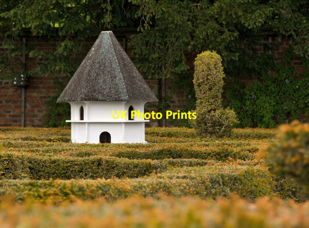Photo 6"x4" Maze at Burton Agnes Burton Agnes c2015