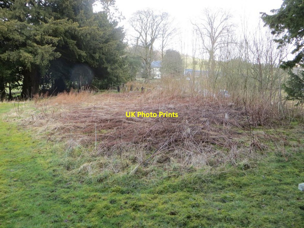 Photo 6"x4" All that remains Abergwesyn c2015