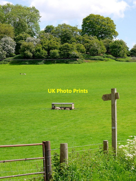 Photo 6"x4" Path from Ponty Pinna Vowchurch c2015