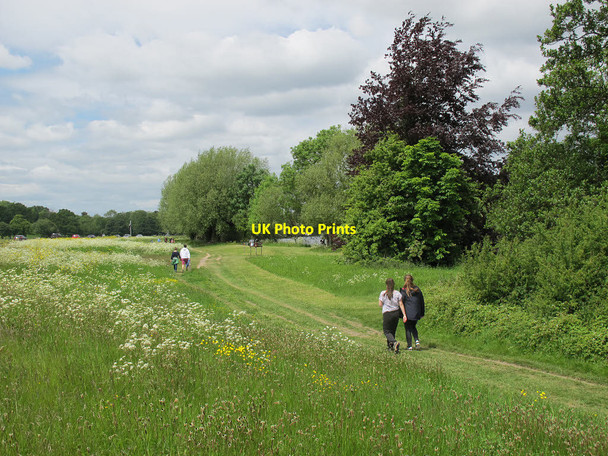 Photo 6"x4" Thames Path at Runnymede Egham c2015