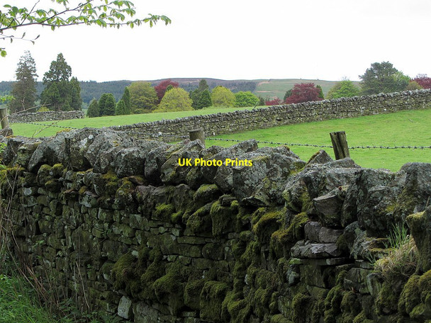 Photo 6"x4" Walls south of Alston Cemetery Alston\/NY7146 c2015
