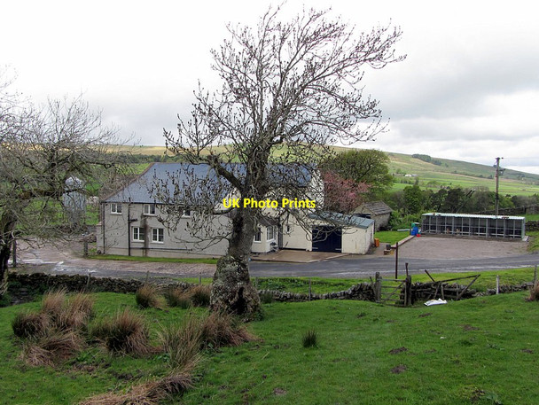Photo 6"x4" Bleagate on Pennine Way Leadgate\/NY7043 c2015