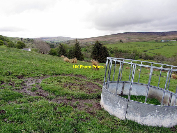 Photo 6"x4" Fields near Low Sillyhall Leadgate\/NY7043 c2015