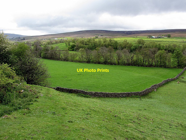 Photo 6"x4" Pasture near Low Sillyhall Leadgate\/NY7043 c2015