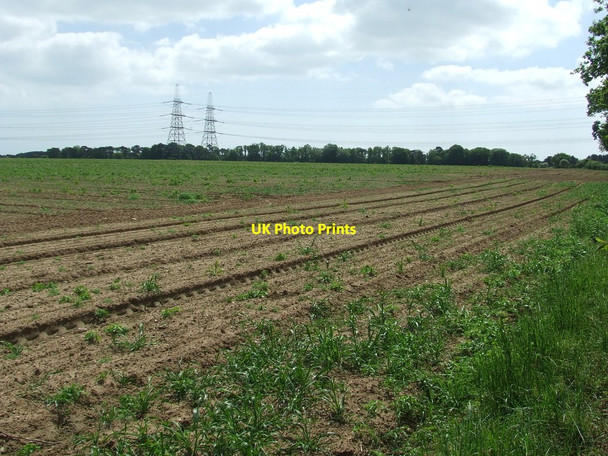 Photo 6"x4" Open Field Leiston c2015