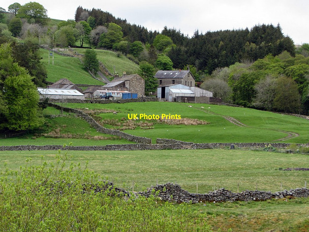 Photo 6"x4" Low Houses from south-west Garrigill c2015