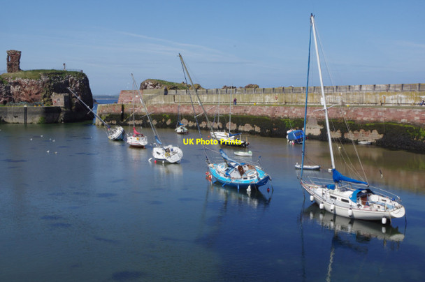 Photo 6"x4" Victoria Harbour, Dunbar Dunbar c2015