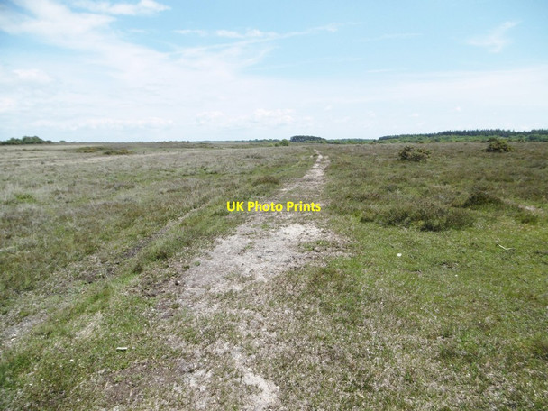 Photo 6"x4" Beaulieu Heath, forestry track Bull Hill\/SZ3398 c2015