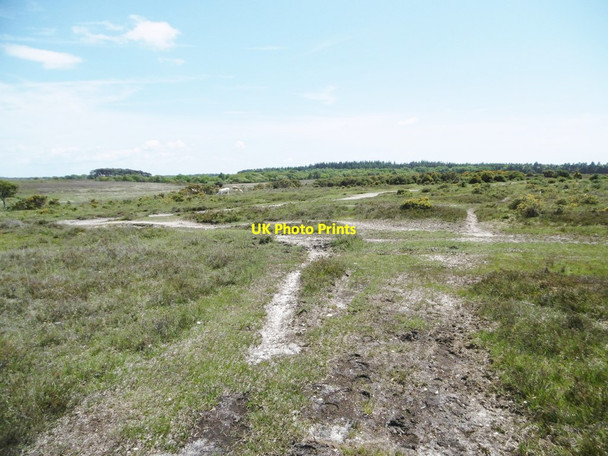 Photo 6"x4" Upper Crockford Bottom, forestry crossroads Bull Hill\/SZ3398 c2015
