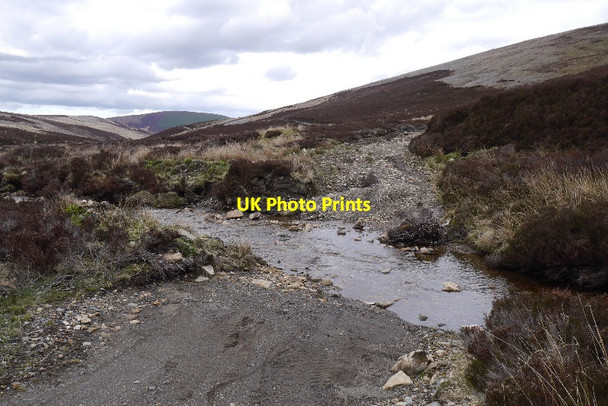 Photo 6"x4" Ford, Glen Fiddich Glenfiddich Forest c2015