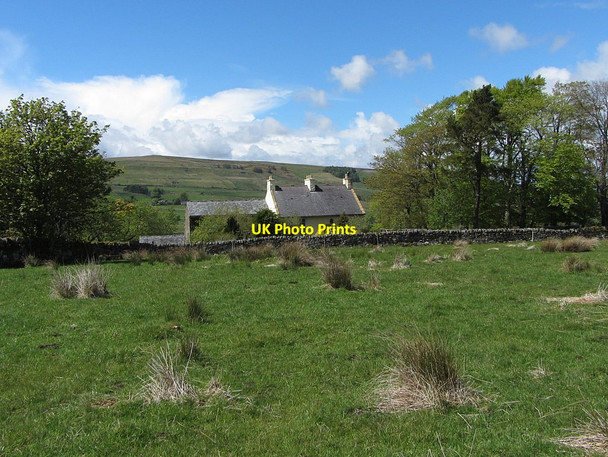 Photo 6"x4" High Nest Farm Bayles c2015