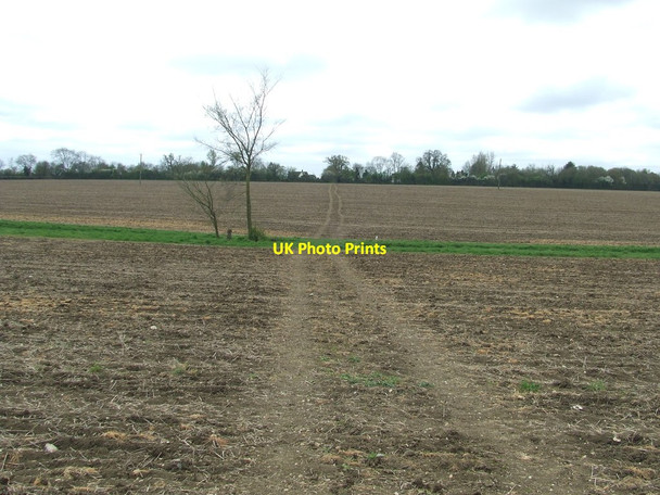 Photo 6"x4" Across Open Fields Bridge Green\/TL4636 c2015
