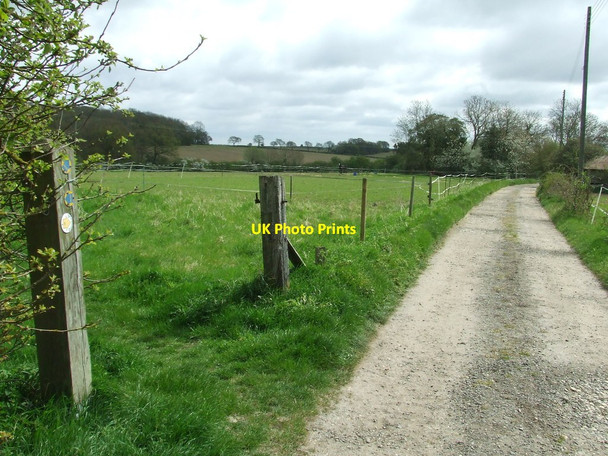 Photo 6"x4" Footpath Junction Bridge Green\/TL4636 c2015