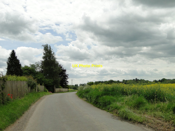 Photo 6"x4" Old Lane, Stanningfield Brook Green\/TL8658 c2015