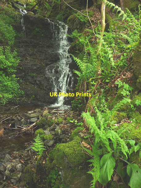 Photo 6"x4" Waterfall, Cowby Gill High Oaks\/SD6291 c2015