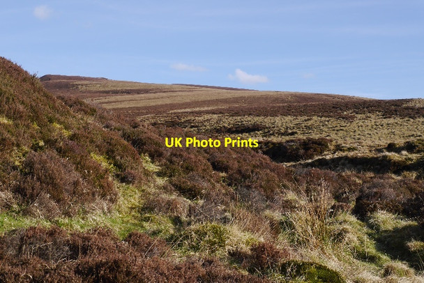 Photo 6"x4" Moorland, Pantry Burn Carn Allt a' Chlaiginn c2015