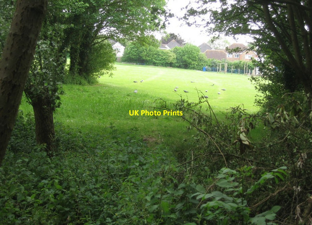 Photo 6"x4" Grounds of local school Basingstoke c2015