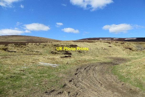 Photo 6"x4" Vehicle tracks, Blackwater Lodge Blackwater Lodge c2015