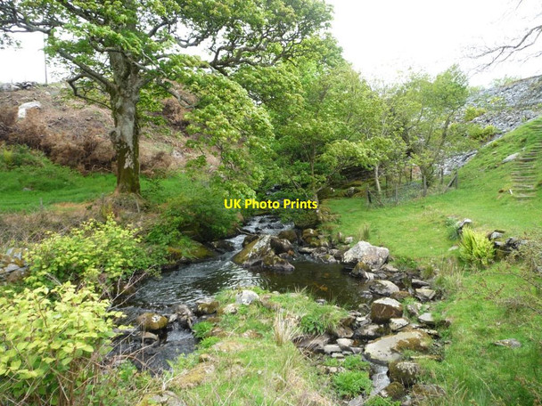Photo 6"x4" Afon Henwy upstream [east] of Pont y Pandy Golan c2015