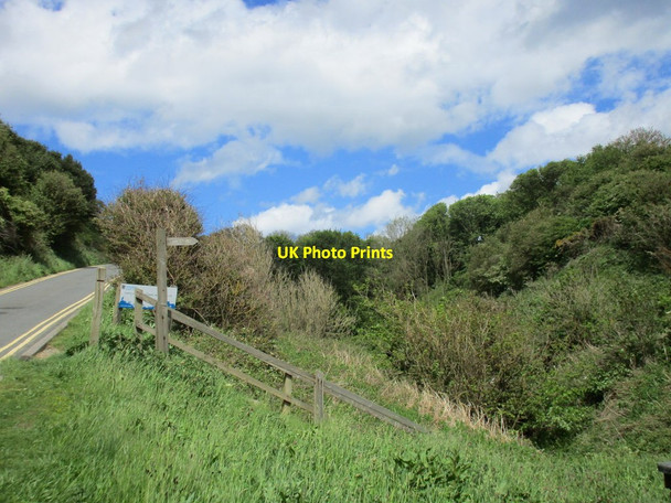Photo 6"x4" Footpath and South Sea Road Flamborough c2015