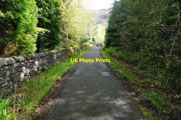 Photo 6"x4" Private driveway Attadale Gardens Attadale c2015