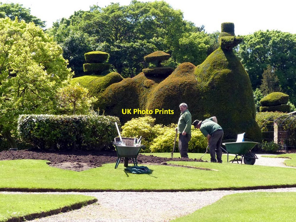 Photo 6"x4" Gardeners at work, Tatton Park Tatton Dale c2015