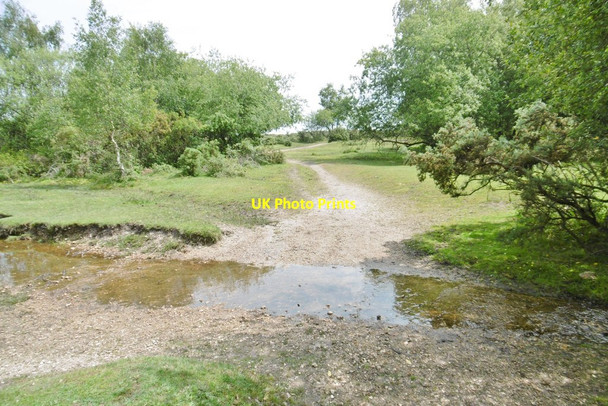 Photo 6"x4" Pilley, ford Bull Hill\/SZ3398 c2015