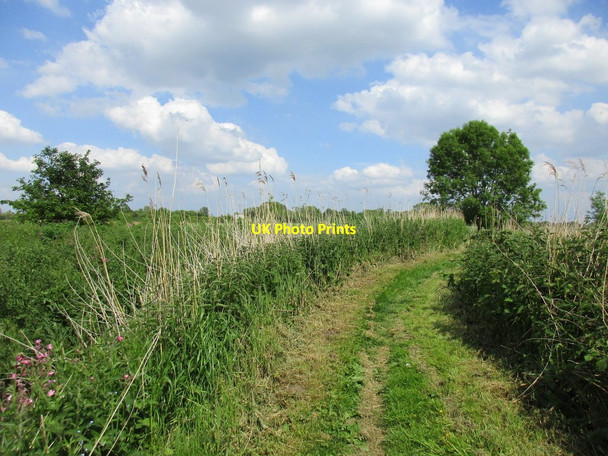 Photo 6"x4" Footpath alongside Watton Beck Beswick\/TA0148 c2015