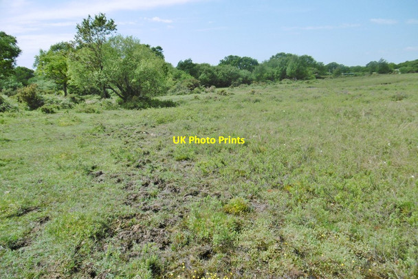 Photo 6"x4" Pilley, ditch Bull Hill\/SZ3398 c2015