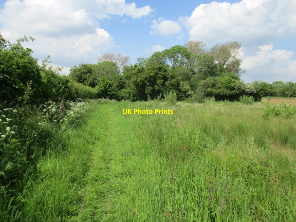 Photo 6"x4" Uncultivated field Watton\/TA0150 c2015