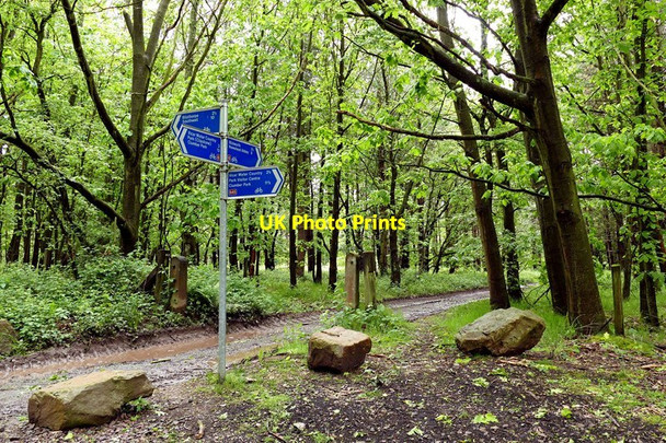 Photo 6"x4" Cycle route junction in Clipstone Forest Rainworth c2015