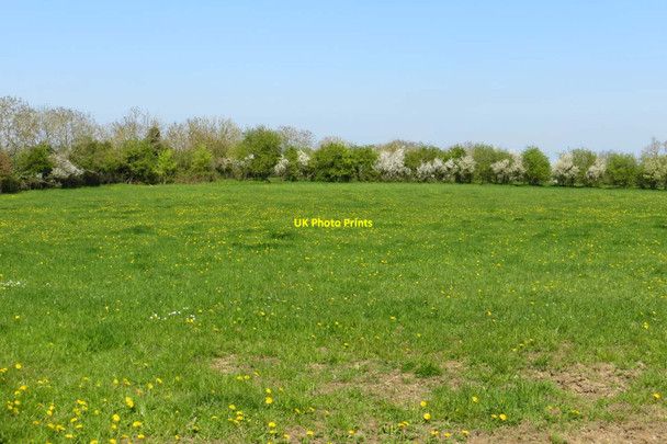 Photo 6"x4" A field on Blackthorn Hill Launton c2015