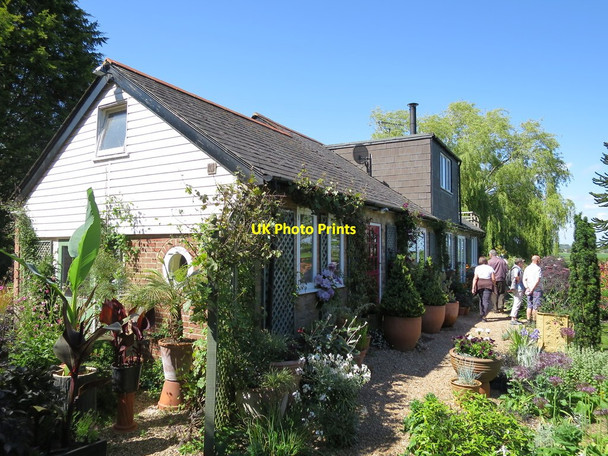 Photo 6"x4" Winchelsea open gardens Winchelsea c2015
