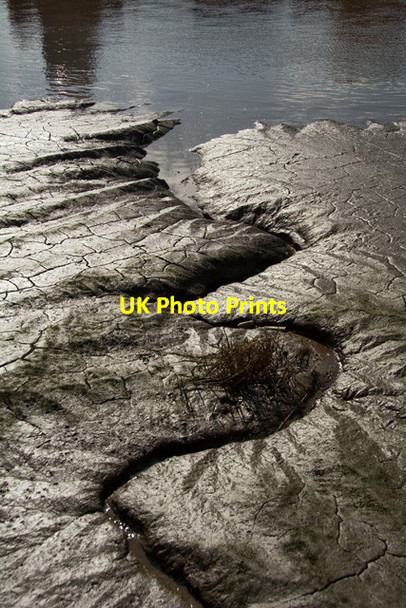 Photo 6"x4" River Hull mud Kingston upon Hull c2015