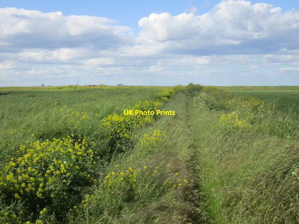 Photo 6"x4" Footpath towards the Humber bank New Holland\/TA0823 c2015