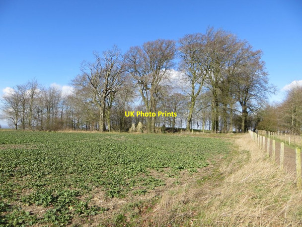 Photo 6"x4" Copse Surrounding Wayland's Smithy Ashbury\/SU2685 c2016