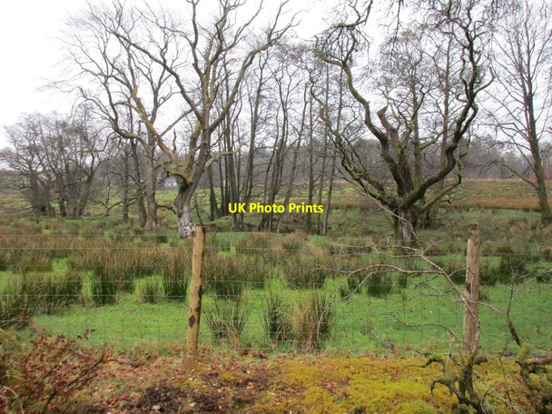 Photo 6"x4" Wet pasture near the Black Burn Warwicksland c2016