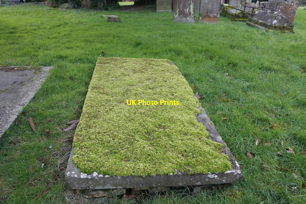 Photo 6"x4" Moss on the tomb Blewbury c2016