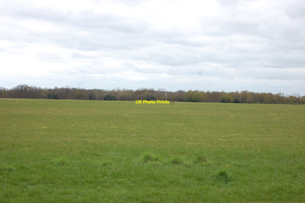 Photo 6"x4" View towards Oliver's Thicks Layer de la Haye c2016
