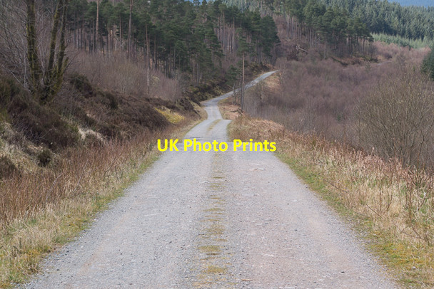 Photo 6"x4" Track in Loch Ard Forest Altskeith c2016