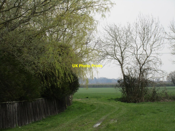 Photo 6"x4" Footpath to Cocks Green Lane Brook Green\/TL8658 c2016