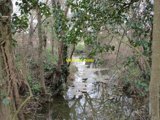 Photo 6"x4" Pond amongst the trees Bradfield Combust c2016