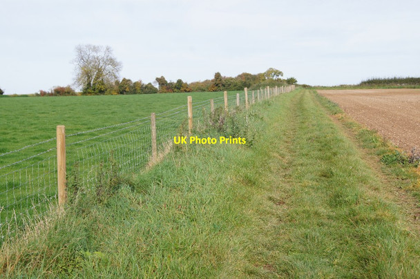 Photo 6"x4" New fencing - Wonston Manor Farm Wonston\/SU4739 c2015