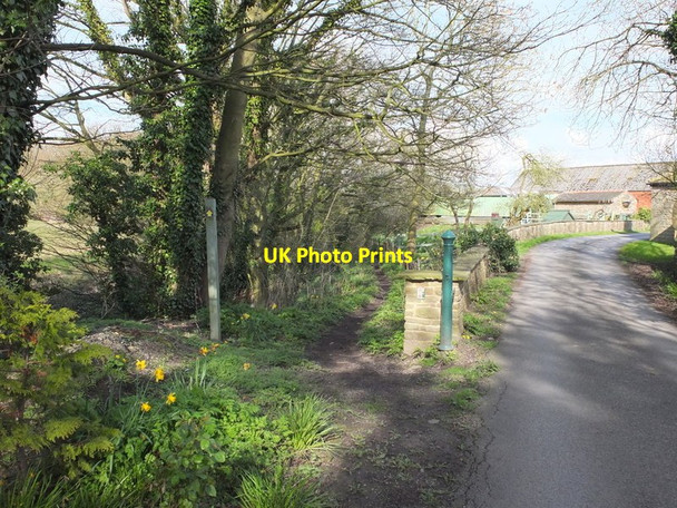 Photo 6"x4" Footpath north of Heskin Old Hall off Tannersmith Lane Andertons Mill c2016