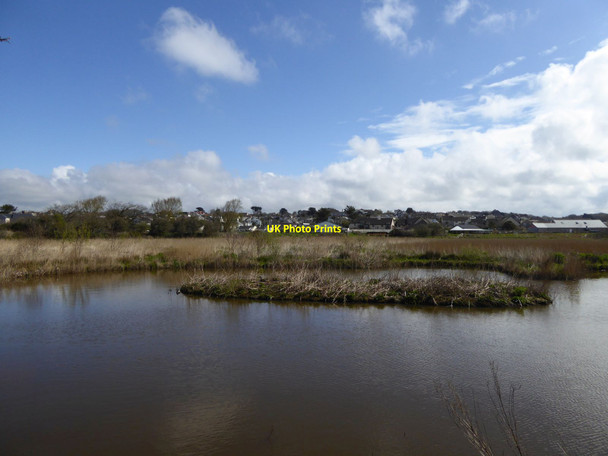 Photo 6"x4" Pool and island in the nature reserve by Bude Canal Bude\/SS2106 c2016