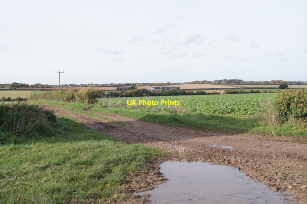 Photo 6"x4" Farm track leading to Wonston Lane South Wonston c2015