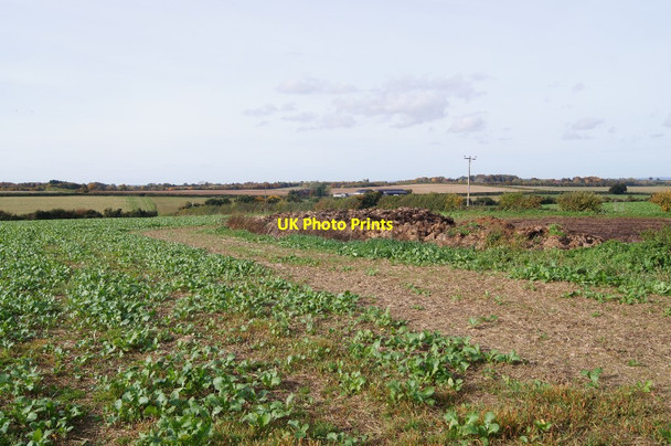 Photo 6"x4" Crop west of the bridleway South Wonston c2015