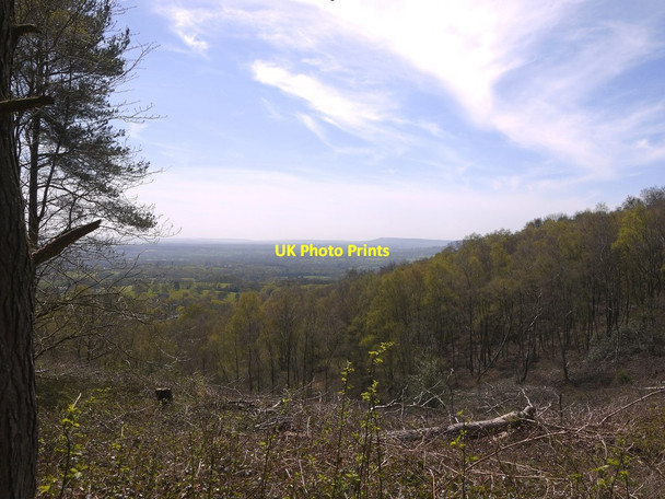 Photo 6"x4" The Greensand scarp and the view from Winterfold Hill Peaslake c2016