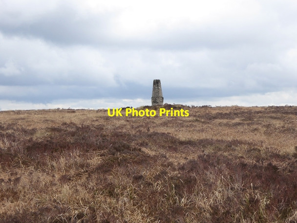 Photo 6"x4" Trig pillar on Wolftrap Mountain Cadamstown c2016